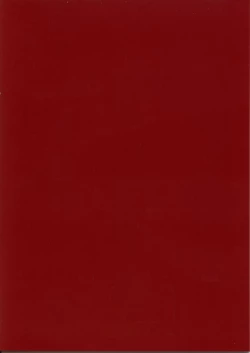 Page 34 of Nina-san ga Taihen na Koto ni Naru Hon. Vol. 2