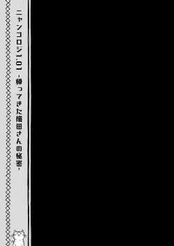 Page 21 of Nyancology Soushuuhen