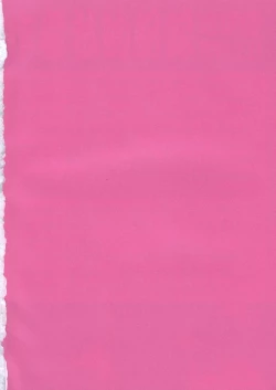 Page 28 of Pretty Girl Confinement File 3