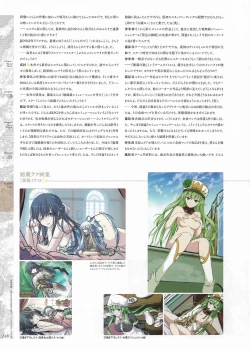 Page 250 of Madou KoukakuPerfect Guidebook