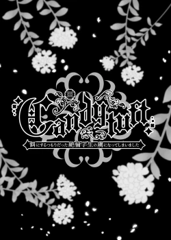 Page 63 of Candytuft