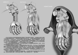 Page 25 of LOVE&FAMILY