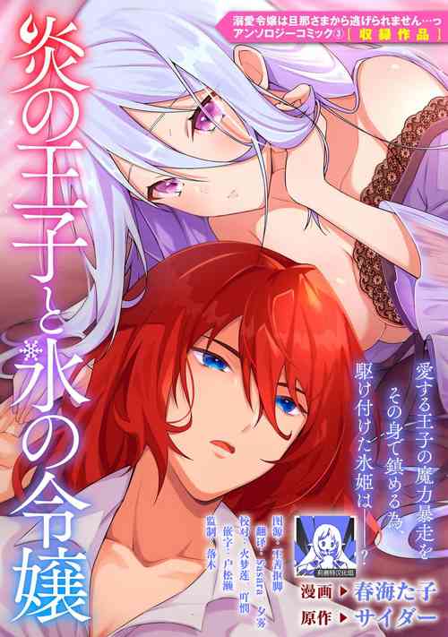 Download Honō no ōji to kōri no reijō | 冰公主与炎王子