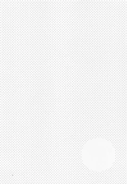 Page 33 of Shusei to Seishun