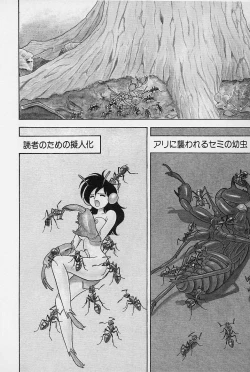 Page 24 of Bondage Fairies Vol. 3