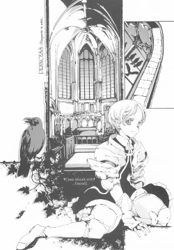 Page 120 of ORGAN-Tino