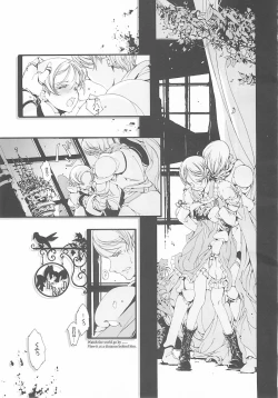 Page 146 of ORGAN-Tino