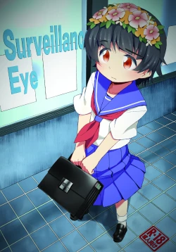 Page 1 of Surveillance Eye