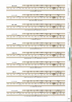 Page 193 of Fuukan no Grasesta Perfect Guidebook