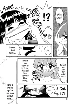 Page 20 of SLAYERS ADULT 5