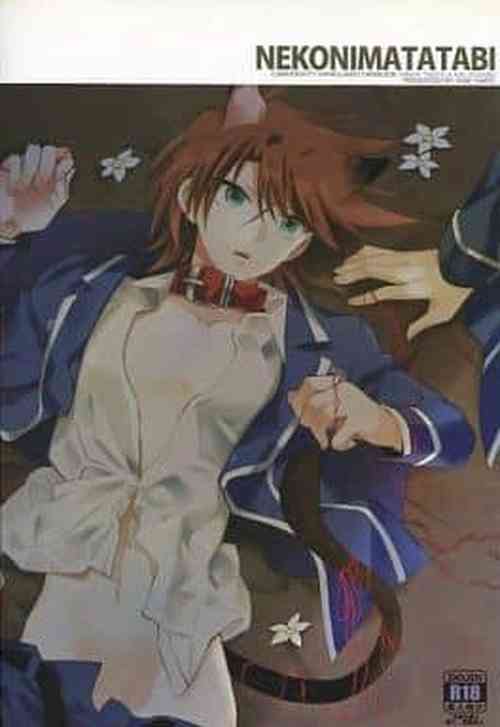 Download Nekonimatatabi Cardfight Vanguard!!