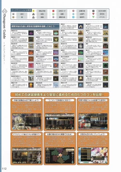 Page 115 of Amayui Labyrinth Meister Perfect Guidebook