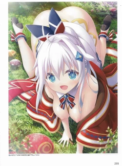 Page 238 of Amayui Labyrinth Meister Perfect Guidebook