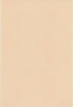 Page 4 of Comic Petit Laurier MC