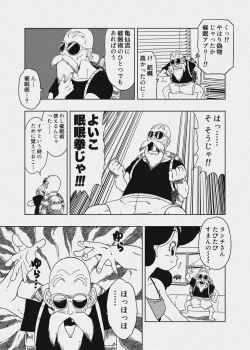 Page 28 of DB-X Kame Sennin x Lunch Hen