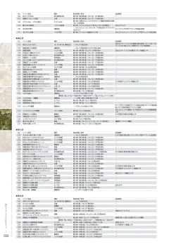 Page 121 of Kami No Rhapsody Perfect Guidebook