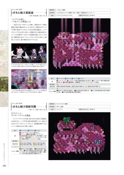 Page 177 of Kami No Rhapsody Perfect Guidebook