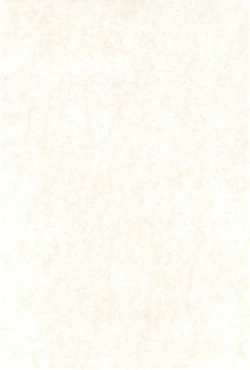 Page 4 of SEX APPEAL VOL.5