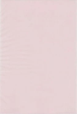 Page 4 of Shounen X Twintails