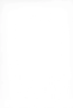 Page 2 of Burney’s Bunny Shop Shinsoukaiten!