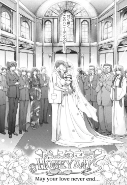 Page 212 of Oyomesama Honey Days Ge