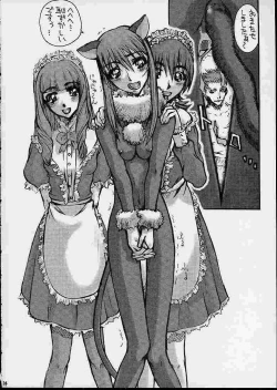 Page 23 of A House Cat