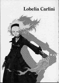 Page 38 of A House Cat