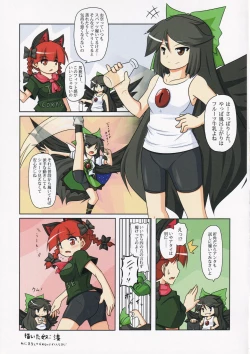 Page 8 of Touhou Spats Goudou