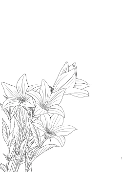 Page 20 of Hikari no Kimi no Saganaki Keikaku <Akashi>