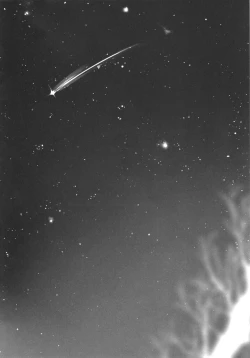 Page 31 of Daremo shiranai yume o miyou