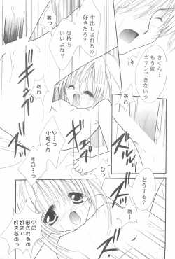 Page 21 of VELVET ROSE