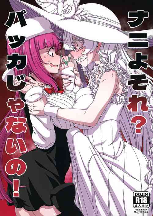 Download Nani yo Sore? Bakka janai no! | What's That? Are you An Idiot!?