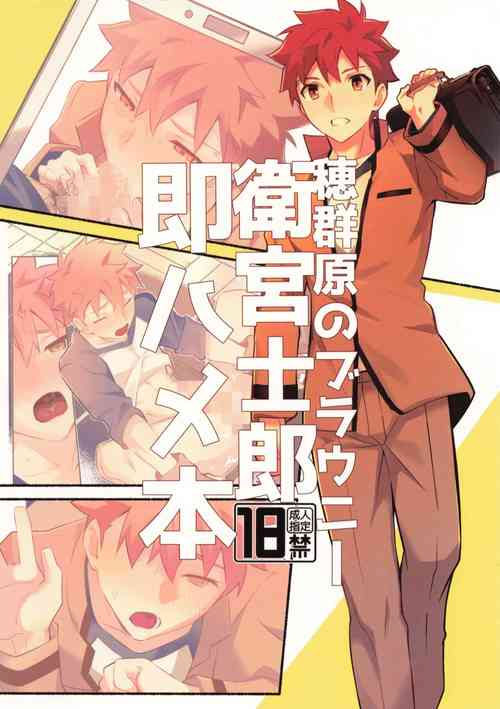 Download Homurabara no Brownie Emiya Shirou Soku Hame Hon