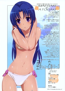 Page 2 of Ami Plus