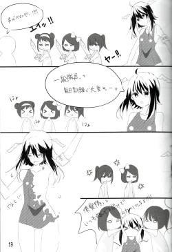 Page 13 of Tsurupeta Kenkyuu Houkokusho 011