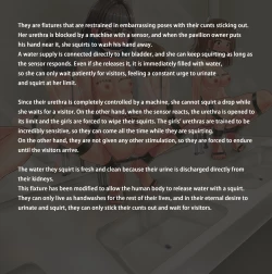 Page 80 of Girls Exhibition Hall: Attendants, Bathrooms, Punishment Cell, and Wall of Female Genitalia