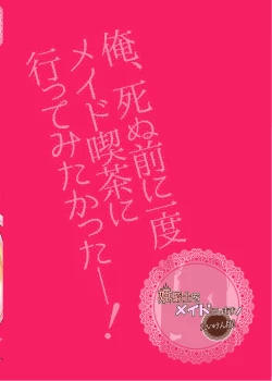 Page 14 of Himekishi o Maid ni Shimasu! Taikenban!