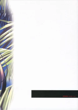 Page 17 of original colors