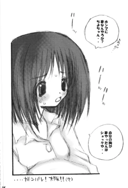 Page 13 of Attachment