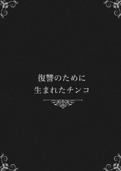 Page 3 of Fukushuu no Tameni Umareta Chinko