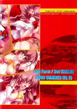 Page 17 of Moe Touhou Gensoukyou - Shin Hakurei Shojo Kekkai