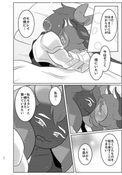 Page 31 of special blend