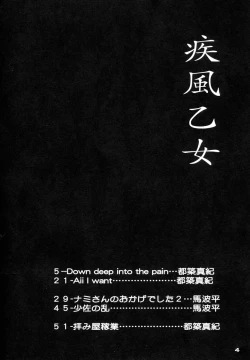 Page 3 of Shippuu Otome