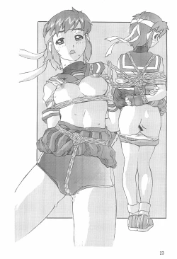 Page 23 of Gyouretsu no dekiru Ouritsu Kyoukansho Taiyou no Kiba-hen