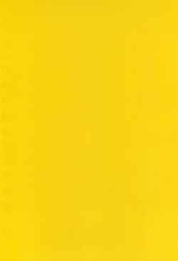 Page 4 of Renaissance Ajikko