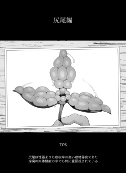 Page 22 of "Shippo Hen" Madougu-ya no Kyokubu Seme Choukyou Nisshi