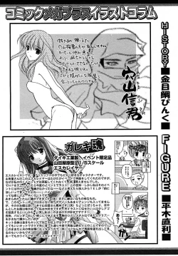 Page 295 of COMIC MEGAPLUS 2005-07 Vol. 21