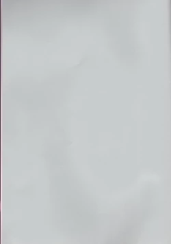 Page 2 of Toaru Souchou no Jouji