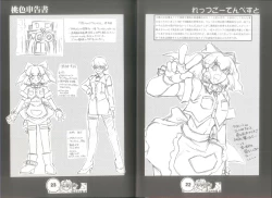 Page 13 of 桃色申告書 ver.MILLENNIUM FALCON