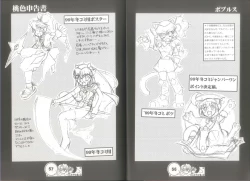 Page 30 of 桃色申告書 ver.MILLENNIUM FALCON